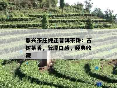 鼎兴茶庄纯正普洱茶饼：古树茶香，醇厚口感，经典收藏