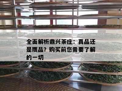 全面解析鼎兴茶庄：真品还是赝品？购买前您需要了解的一切