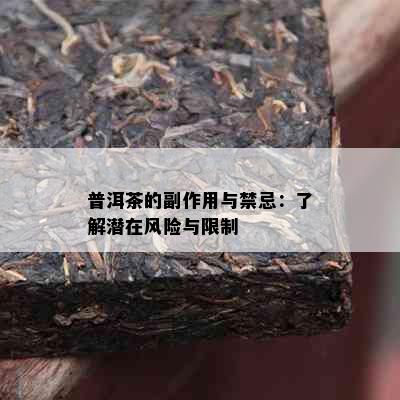 普洱茶的副作用与禁忌：了解潜在风险与限制