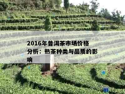 2016年普洱茶市场价格分析：熟茶种类与品质的影响