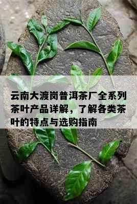 云南大渡岗普洱茶厂全系列茶叶产品详解，了解各类茶叶的特点与选购指南