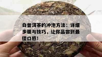 白普洱茶的冲泡方法：详细步骤与技巧，让你品尝到更佳口感！