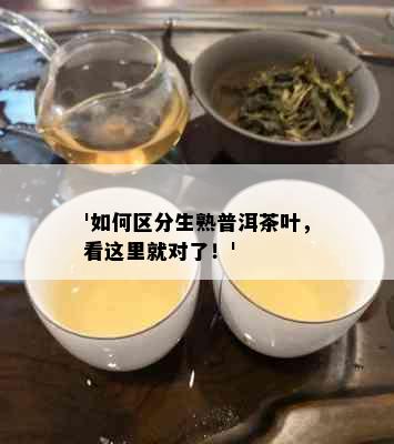 '如何区分生熟普洱茶叶，看这里就对了！'