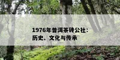 1976年普洱茶砖公社：历史、文化与传承