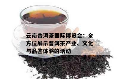 云南普洱茶国际博览会：全方位展示普洱茶产业、文化与品鉴体验的活动