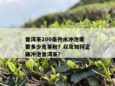 普洱茶200毫升水冲泡需要多少克茶粉？以及如何正确冲泡普洱茶？