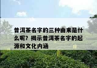 普洱茶名字的三种由来是什么呢？揭示普洱茶名字的起源和文化内涵