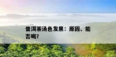 普洱茶汤色发黑：原因、能否喝？