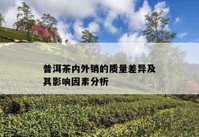 普洱茶内外销的质量差异及其影响因素分析