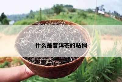 什么是普洱茶的粘稠