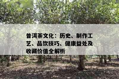 普洱茶文化：历史、制作工艺、品饮技巧、健康益处及收藏价值全解析