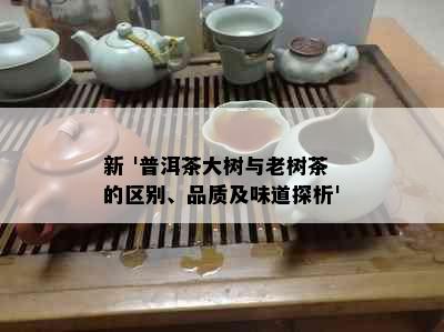 新 '普洱茶大树与老树茶的区别、品质及味道探析'