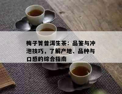 梅子箐普洱生茶：品鉴与冲泡技巧，了解产地、品种与口感的综合指南