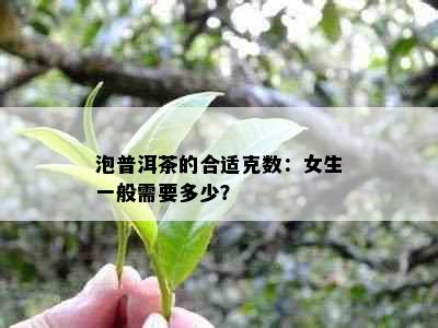 泡普洱茶的合适克数：女生一般需要多少？