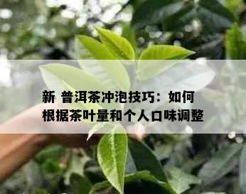 新 普洱茶冲泡技巧：如何根据茶叶量和个人口味调整