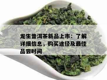 龙生普洱茶新品上市：了解详细信息，购买途径及更佳品尝时间