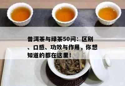 普洱茶与绿茶50问：区别、口感、功效与作用，你想知道的都在这里！