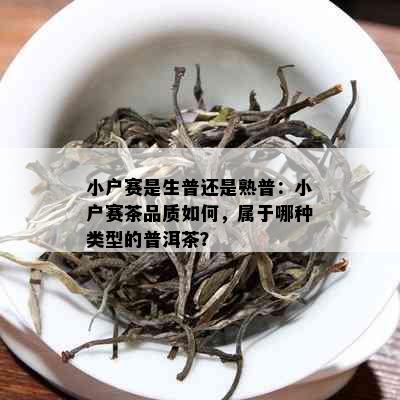 小户赛是生普还是熟普：小户赛茶品质如何，属于哪种类型的普洱茶？