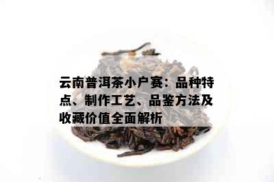 云南普洱茶小户赛：品种特点、制作工艺、品鉴方法及收藏价值全面解析