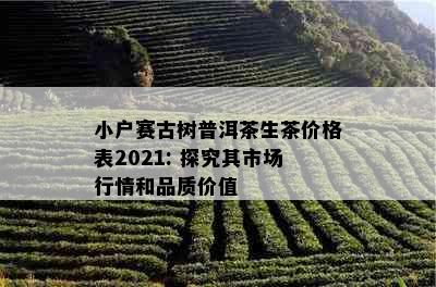 小户赛古树普洱茶生茶价格表2021: 探究其市场行情和品质价值