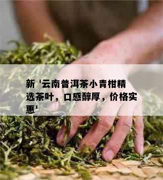 新 '云南普洱茶小青柑精选茶叶，口感醇厚，价格实惠'