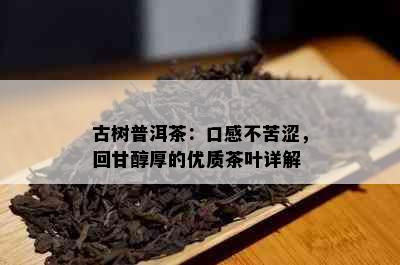 古树普洱茶：口感不苦涩，回甘醇厚的优质茶叶详解