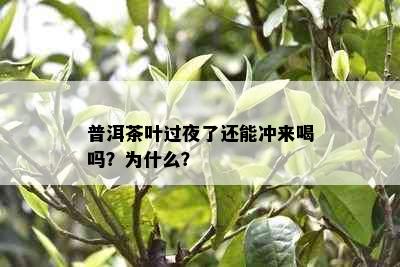 普洱茶叶过夜了还能冲来喝吗？为什么？