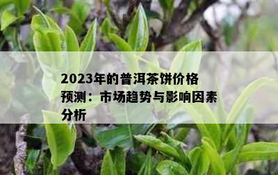 2023年的普洱茶饼价格预测：市场趋势与影响因素分析