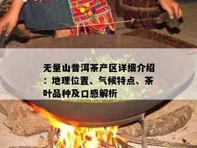 无量山普洱茶产区详细介绍：地理位置、气候特点、茶叶品种及口感解析