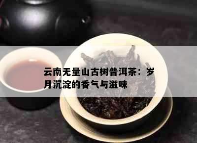 云南无量山古树普洱茶：岁月沉淀的香气与滋味