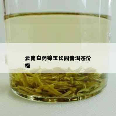 云南白锦玉长圆普洱茶价格