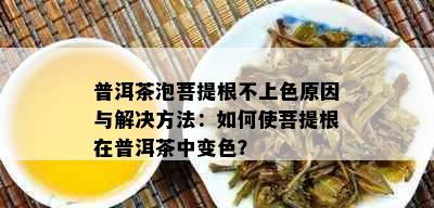 普洱茶泡菩提根不上色原因与解决方法：如何使菩提根在普洱茶中变色？