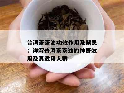 普洱茶茶油功效作用及禁忌：详解普洱茶茶油的神奇效用及其适用人群