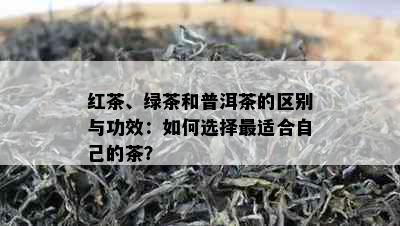 红茶、绿茶和普洱茶的区别与功效：如何选择最适合自己的茶？