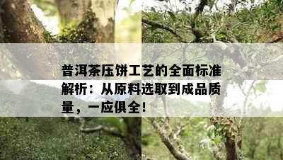 普洱茶压饼工艺的全面标准解析：从原料选取到成品质量，一应俱全！