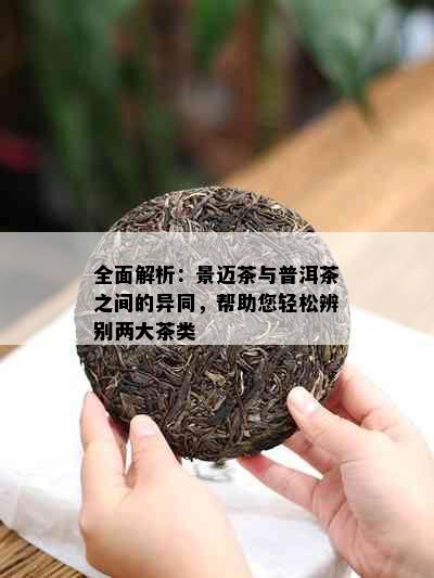 全面解析：景迈茶与普洱茶之间的异同，帮助您轻松辨别两大茶类