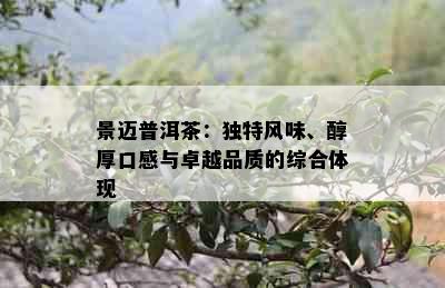 景迈普洱茶：独特风味、醇厚口感与卓越品质的综合体现