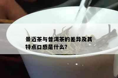 景迈茶与普洱茶的差异及其特点口感是什么？