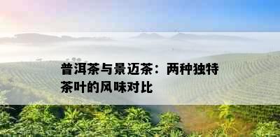 普洱茶与景迈茶：两种独特茶叶的风味对比