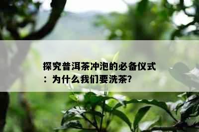 探究普洱茶冲泡的必备仪式：为什么我们要洗茶？