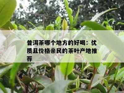 普洱茶哪个地方的好喝：优质且价格亲民的茶叶产地推荐