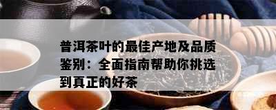 普洱茶叶的更佳产地及品质鉴别：全面指南帮助你挑选到真正的好茶