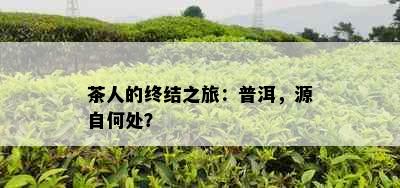 茶人的终结之旅：普洱，源自何处？