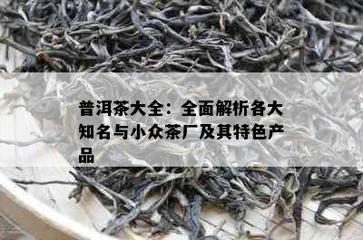 普洱茶大全：全面解析各大知名与小众茶厂及其特色产品