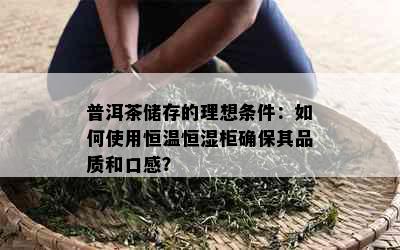 普洱茶储存的理想条件：如何使用恒温恒湿柜确保其品质和口感？