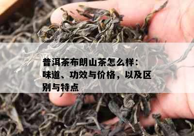 普洱茶布朗山茶怎么样： 味道、功效与价格，以及区别与特点