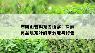 布朗山普洱茶名山寨：探索高品质茶叶的来源地与特色