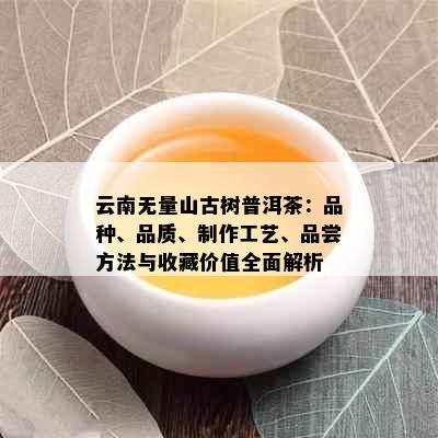 云南无量山古树普洱茶：品种、品质、制作工艺、品尝方法与收藏价值全面解析