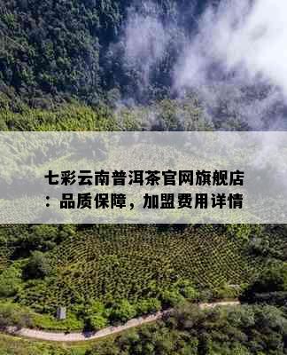 七彩云南普洱茶官网旗舰店：品质保障，加盟费用详情