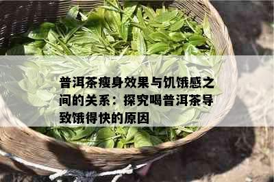 普洱茶瘦身效果与饥饿感之间的关系：探究喝普洱茶导致饿得快的原因